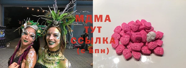 индика Нязепетровск