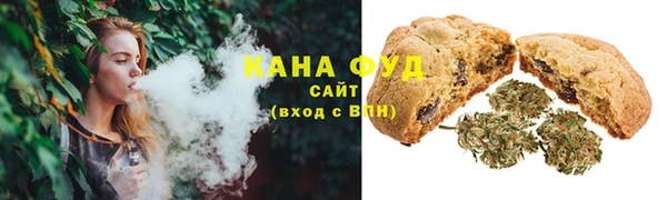 индика Нязепетровск