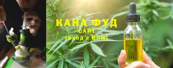 индика Нязепетровск
