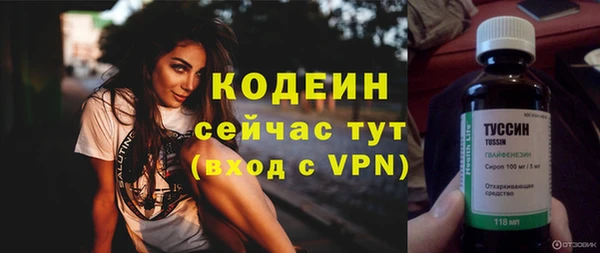 индика Нязепетровск