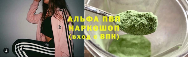индика Нязепетровск