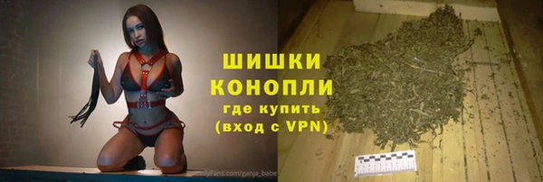 индика Нязепетровск