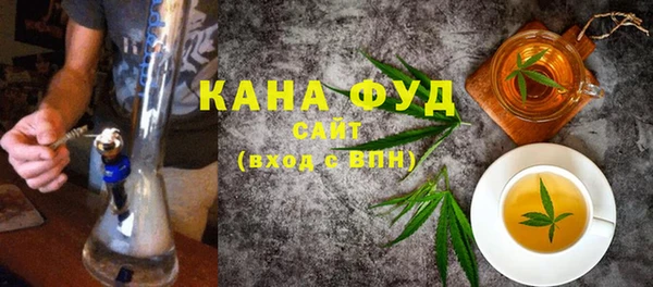 индика Нязепетровск