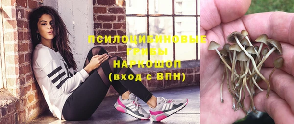 индика Нязепетровск