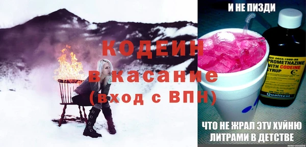 индика Нязепетровск