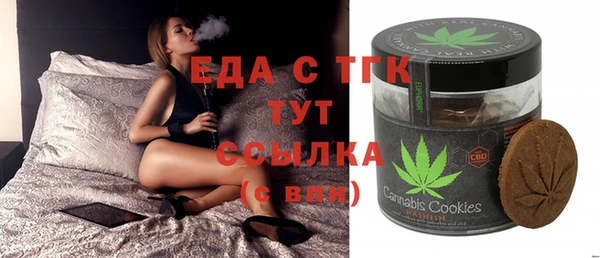 индика Нязепетровск