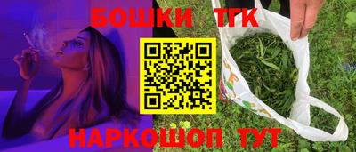 МДПВ Славгород