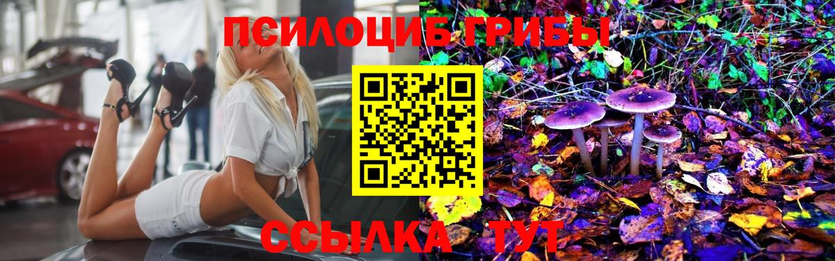 Псилоцибиновые грибы Cubensis  Псилоцибиновые грибы Magic Shrooms  Вход с VPN  Ревда 